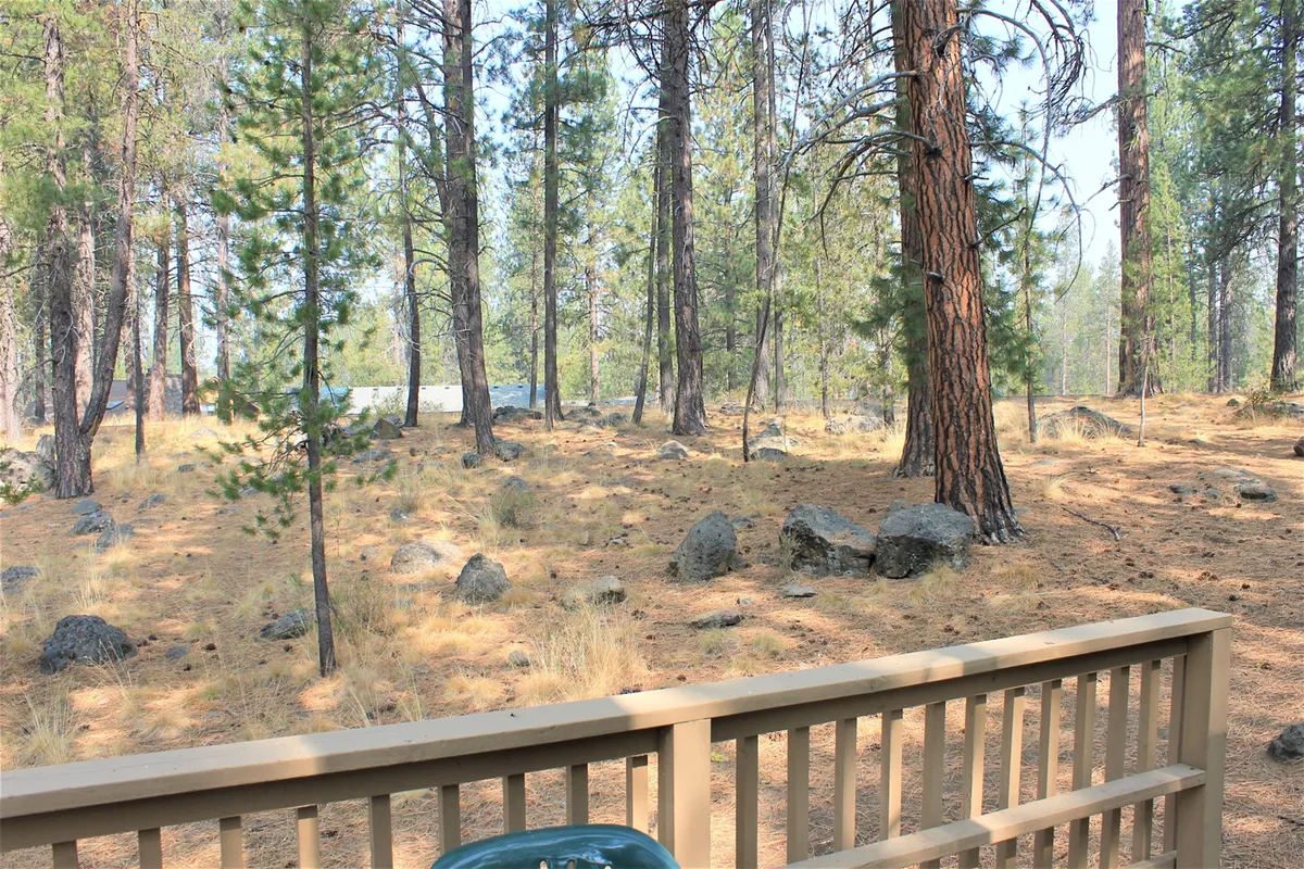 A forested landscape with tall pine trees, dappled sunlight filtering through the foliage, and a natural forest floor scattered with rocks. The outdoor space invites exploration, nature walks, and peaceful family gatherings.